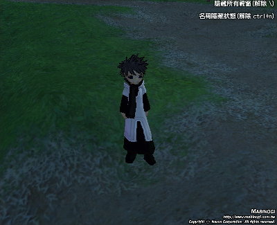 mabinogi_2007_06_02_002.jpg