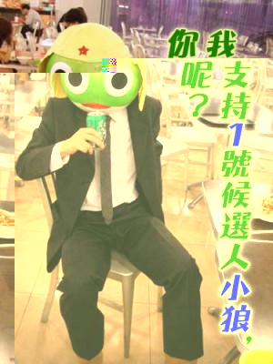 post4.jpg