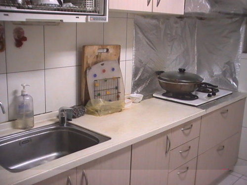 ap_F23_20110124020126488.jpg